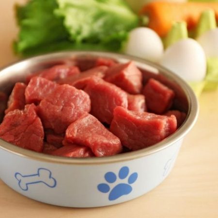Best Raw Dog Food: Meat Eats For Your Mutt
