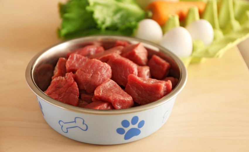 Best Raw Dog Food: Meat Eats For Your Mutt