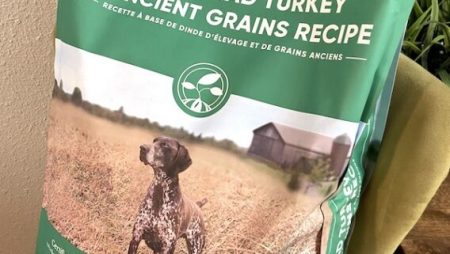 Open Farm Dog Food Review: Super Sustainable Canine Eats!